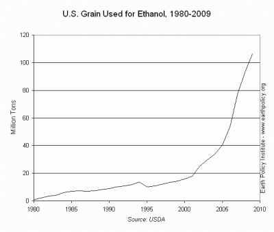 Grain Crops: Food for People or for Vehicles?